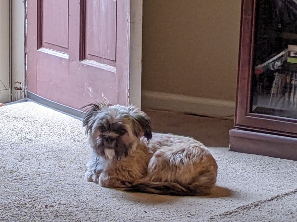 His name is Zeke