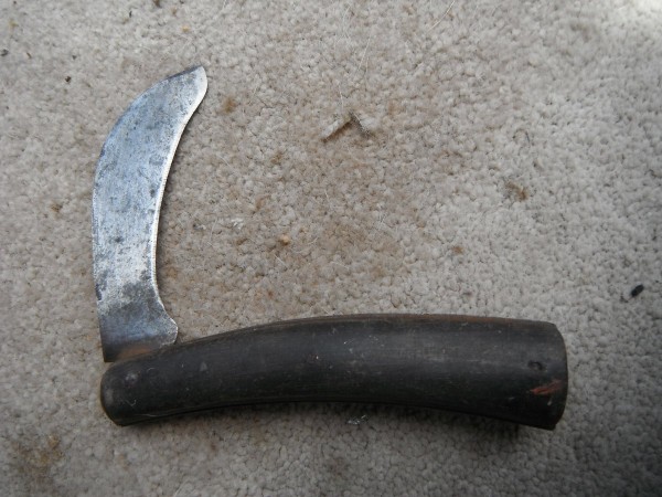 DSCF8082.JPG