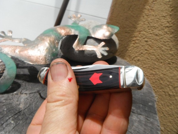 DSCF8251.JPG