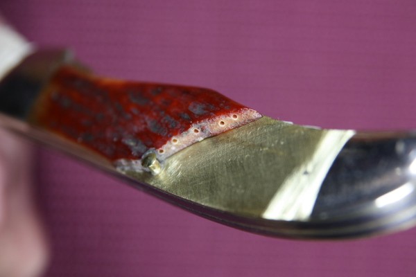 IMG_5628.JPG
