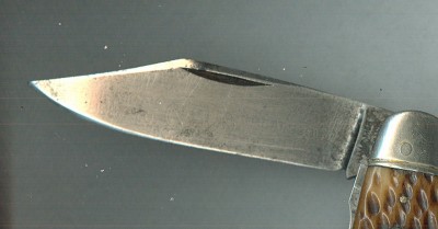 NYK Buffalo Bill f.jpg