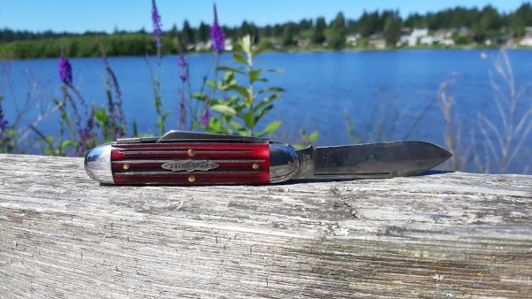20240619_102957.jpg