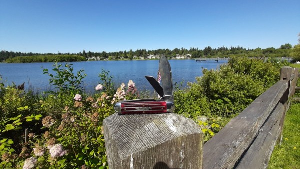 20240619_102721.jpg