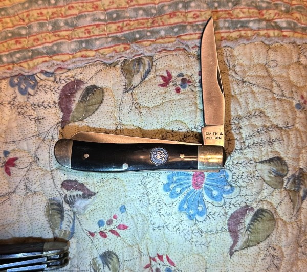 S&amp;W mini trapper