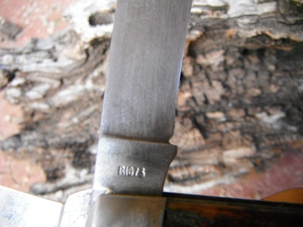 DSCF8452.JPG