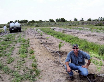 planting peaches.jpg