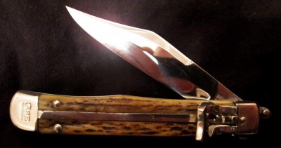 5161L_Stag_2.JPG