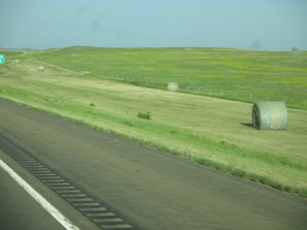 IMG_2617.JPG