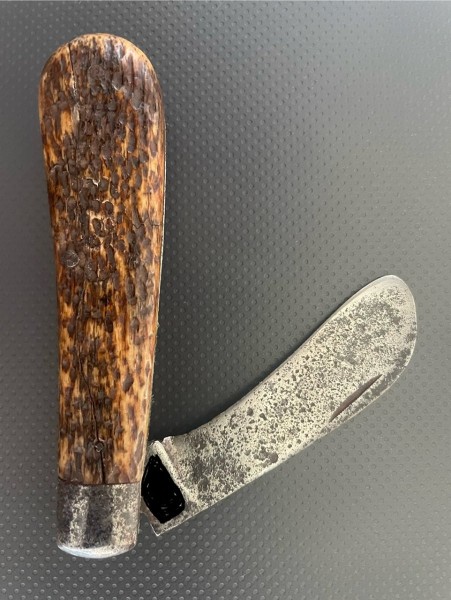 IMG_6945.jpg