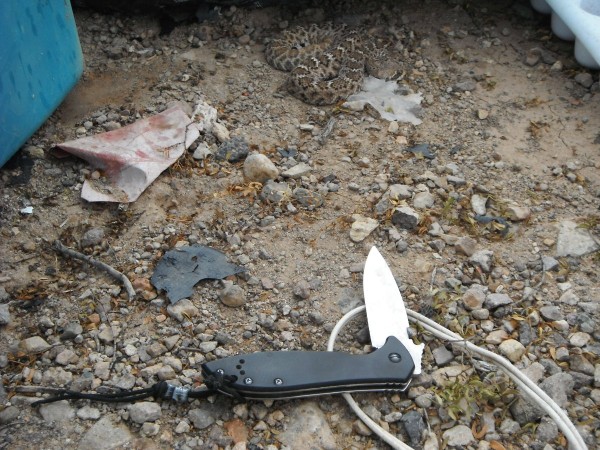 DSCF8780.JPG