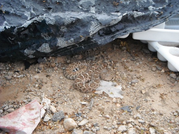 DSCF8779.JPG
