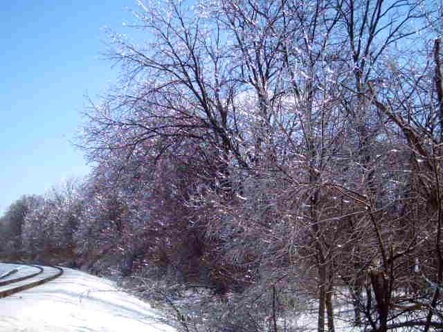 The trail in, the ice strom covered the trees, and with the usn shining through, they looked like they were made of crystal. The camera didn;t capture it well at all