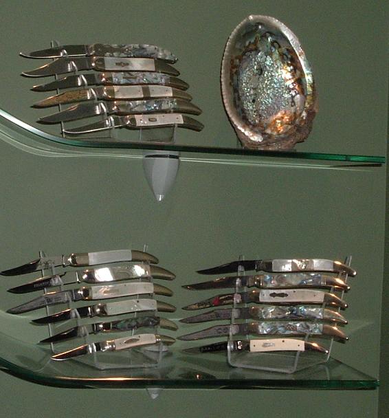 abalone1.jpg
