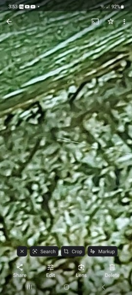 Screenshot_20240820_155316_Photos.jpg