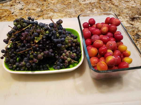 20240823_131617.jpg