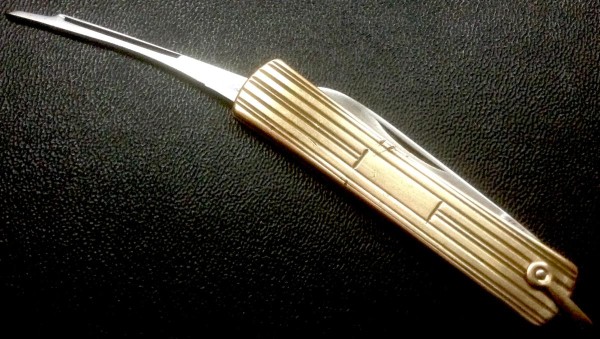 image.jpeg