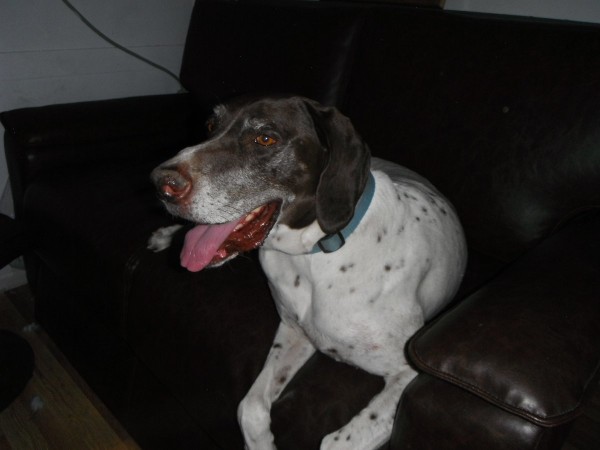 DSCF9357.JPG