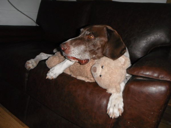 DSCF9361.JPG