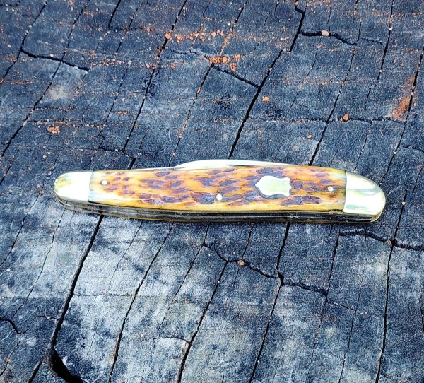 20240904_130814.jpg