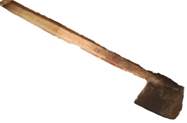 1000006809.png