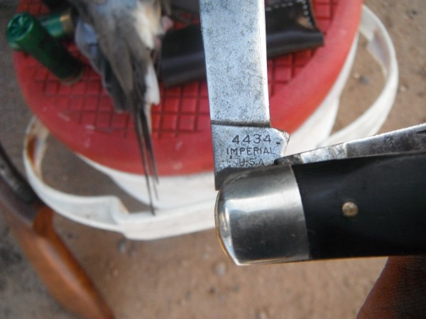 DSCF9457.JPG