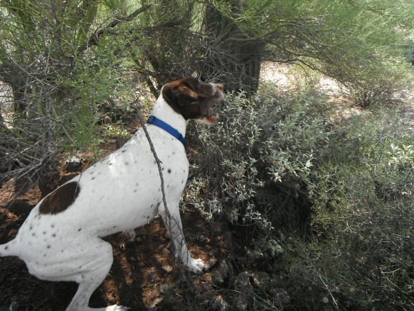 DSCF5074.JPG