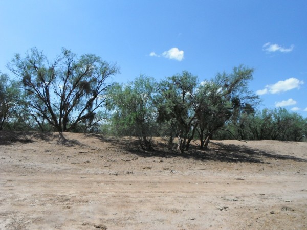 DSCF9449.JPG