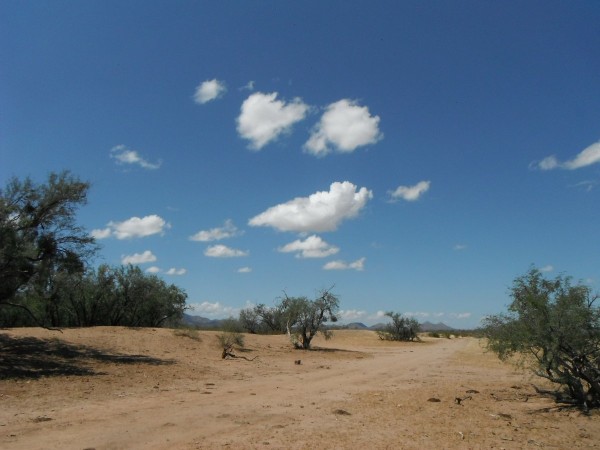 DSCF9450.JPG