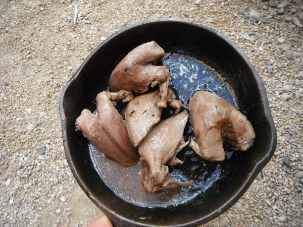 DSCF9451.JPG