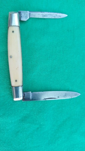 IMG_20240919_163016.jpg