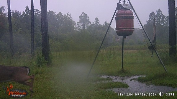 Hurricane Helene rain