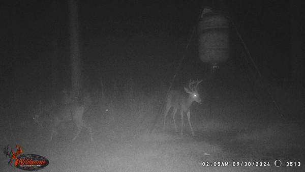 Narrow 7 pt, hadn't seen this one before.