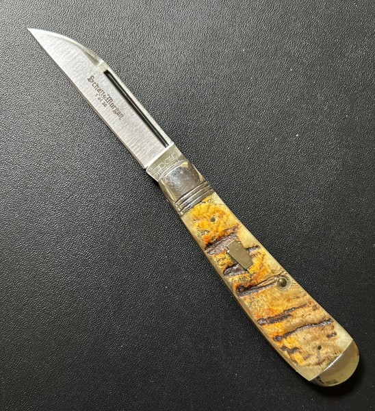 Ram Horn Wharncliffe Swayback #01