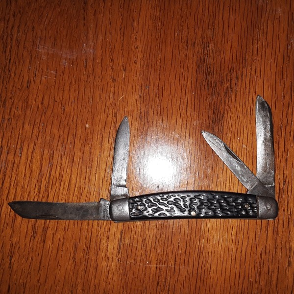 20241008_011135.jpg