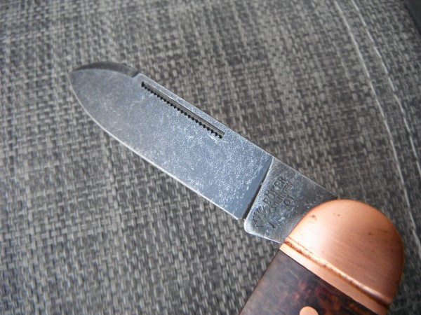 DSCF9387.JPG