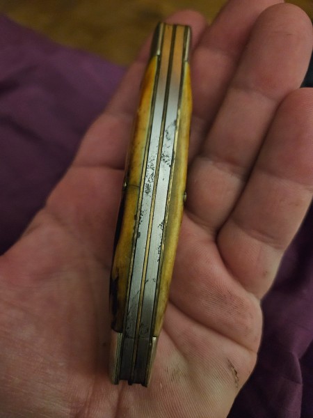 1000005335.jpg