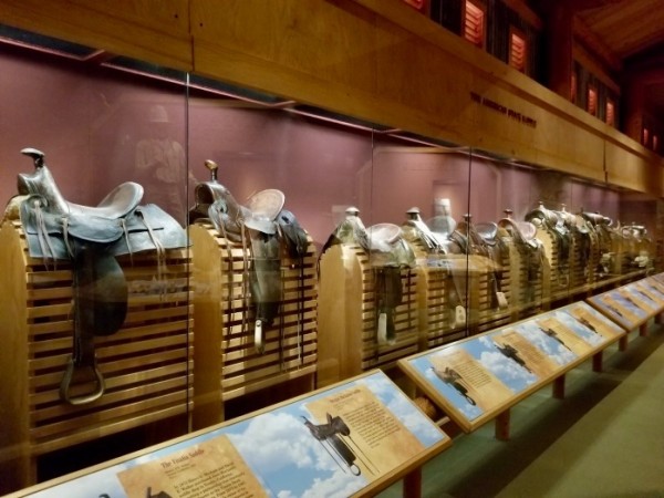 Evolution of the saddle