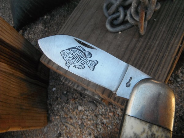 DSCF9615.JPG