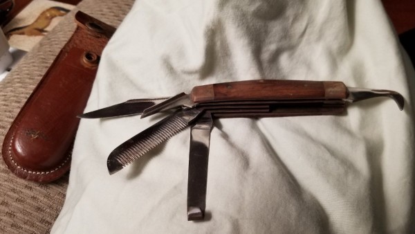 Knife blades, close up