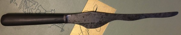 IMG_2915.JPG