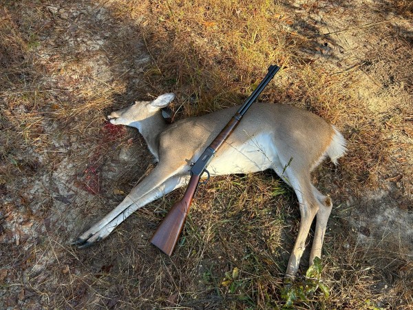 10-28-24 doe and carbine (1).jpg