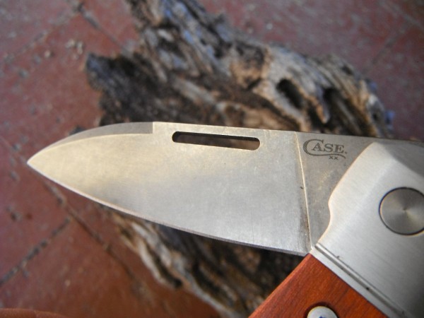 DSCF9126.JPG