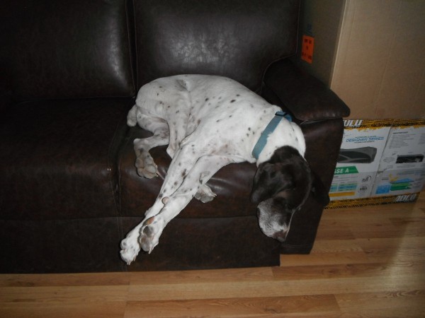 DSCF4069.JPG