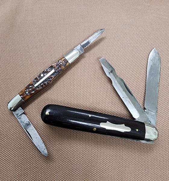 1000016554.jpg