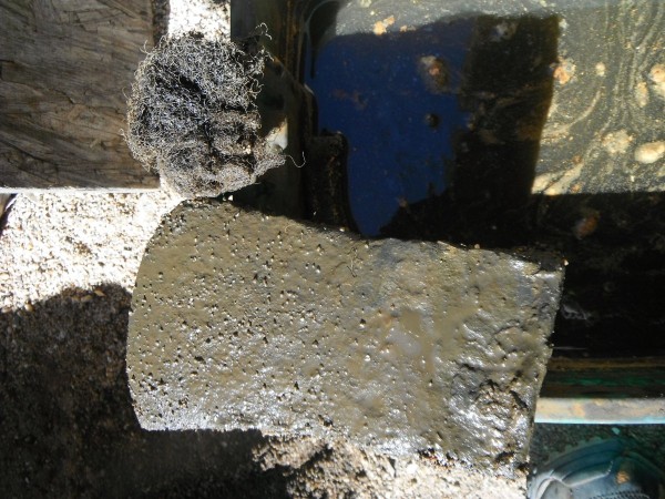 DSCF9881.JPG