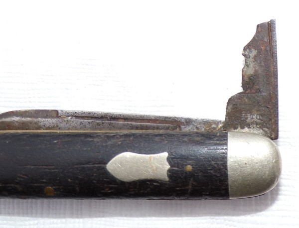 100_0666 (2).JPG