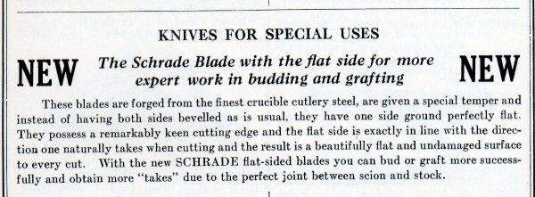 Schrades new flat blds387.jpg