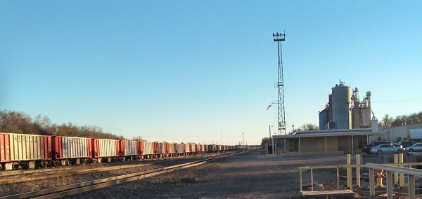 KIMG1607~2.JPG
