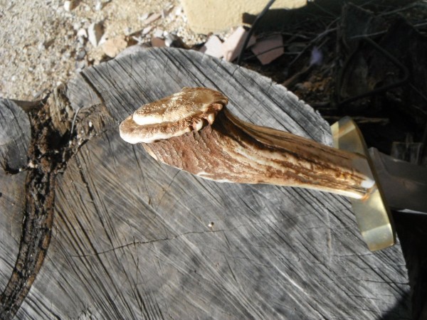 DSCF0840.JPG