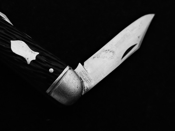 08840499-87AE-487D-B06F-EE25D60D0A46.jpeg